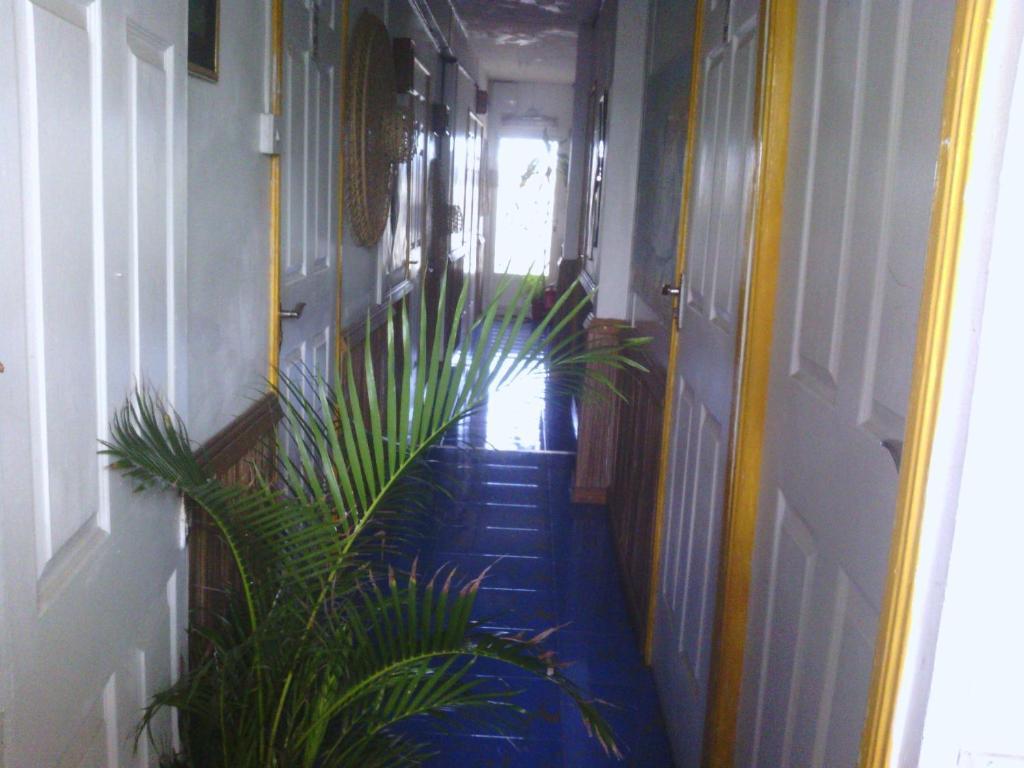 מאהבורג Le Bamboo Guesthouse מראה חיצוני תמונה