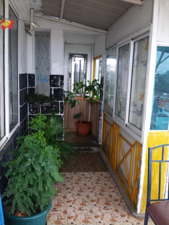 מאהבורג Le Bamboo Guesthouse מראה חיצוני תמונה